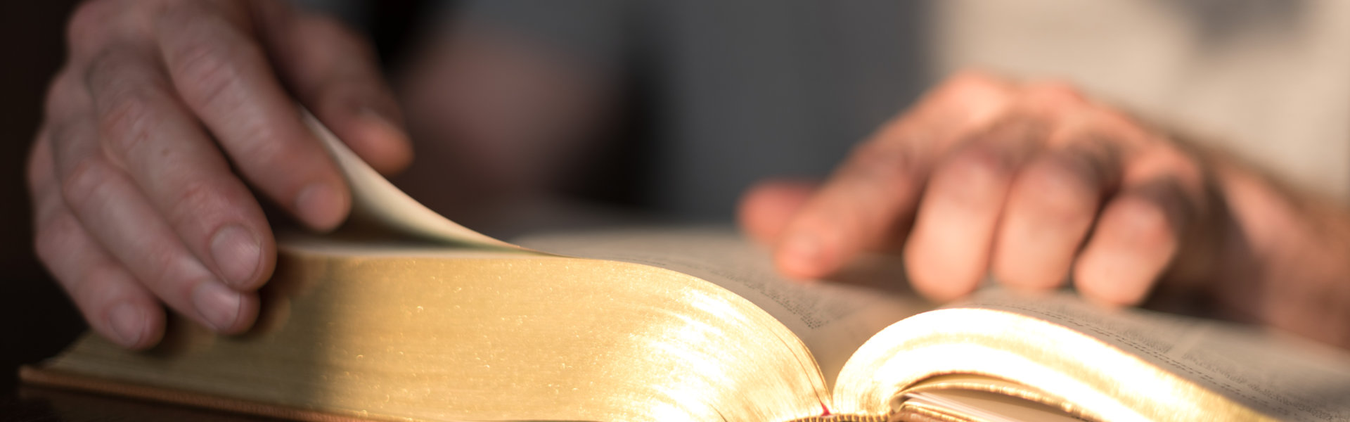 Man reading the Bible