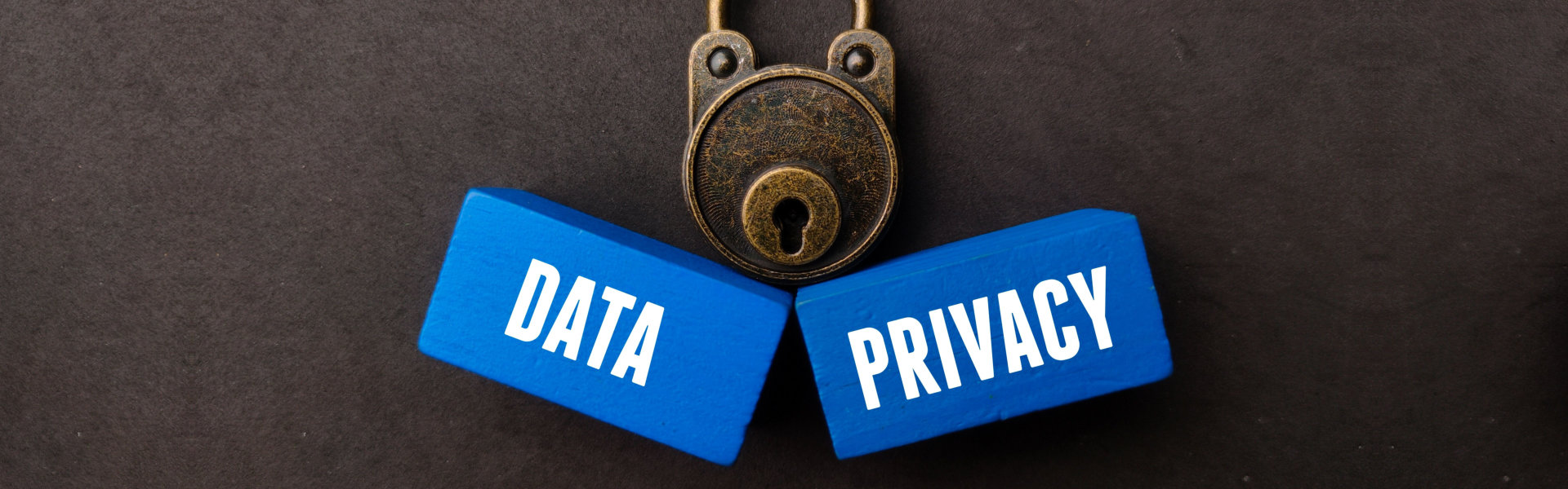 Data Privacy Word Banner